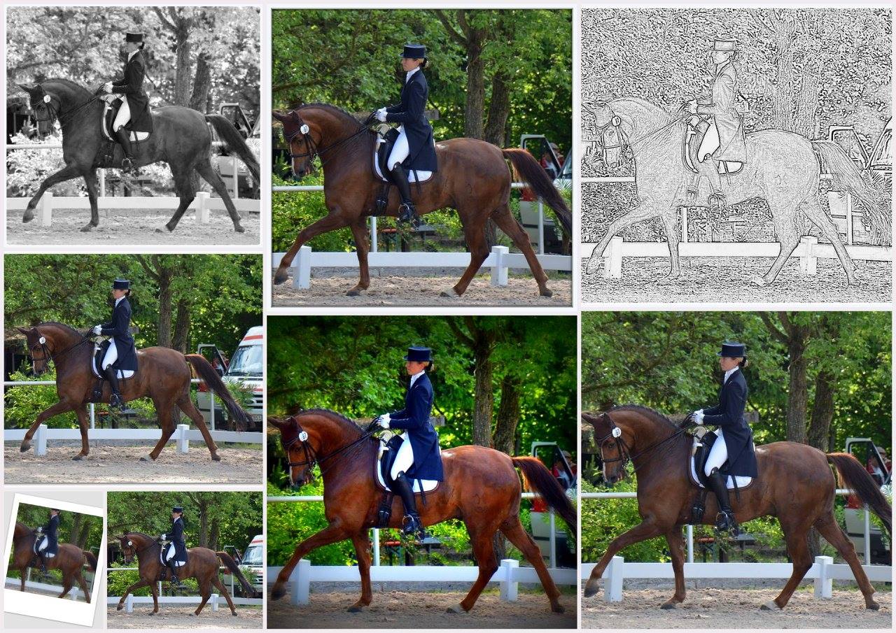 Turniererfolge: Heidelberg-Ladenburg 29.05.2016 Dressurprüfung Kl. S ...